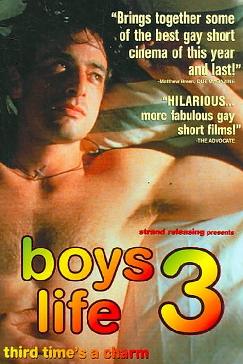 Постер Boys Life 3
